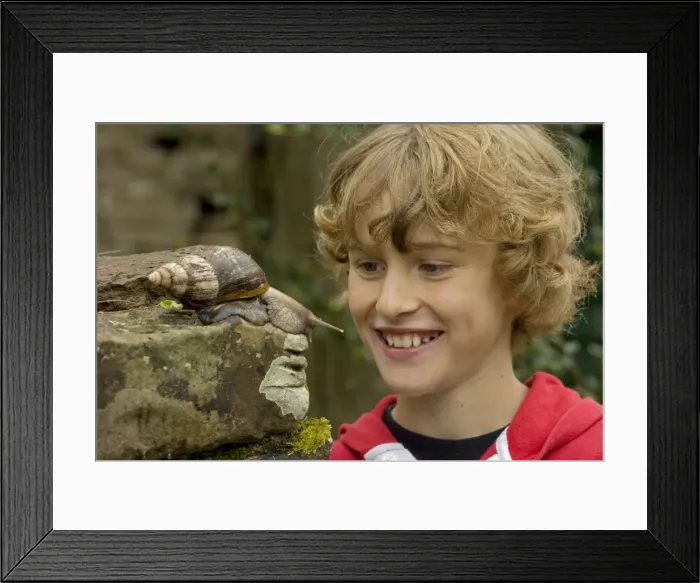 Framed Print : Picture No. 10735607 Framed Print : Picture No. 10735607
