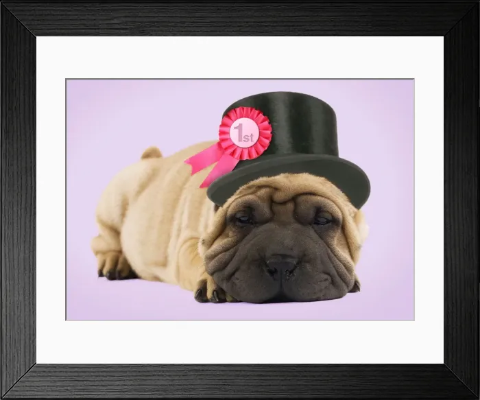 Framed Print : Picture No. 10983319