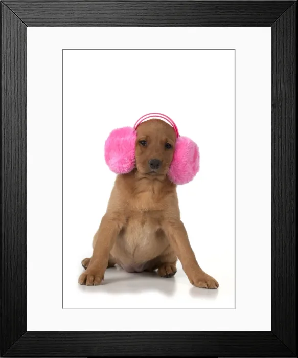 Framed Print : Picture No. 10983283 Framed Print : Picture No. 10983283