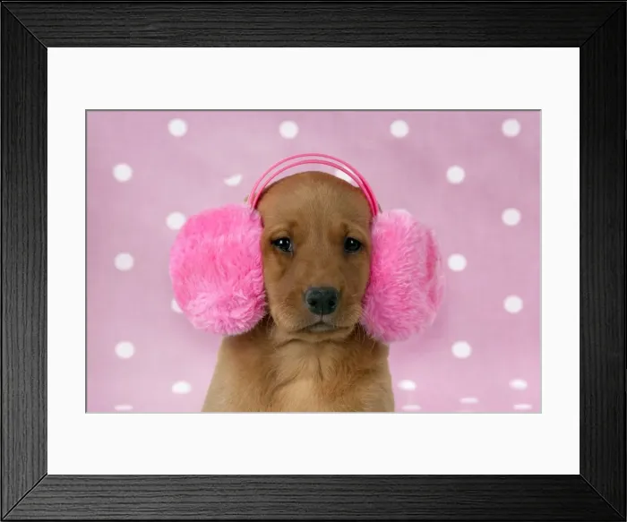 Framed Print : Picture No. 10983318 Framed Print : Picture No. 10983318