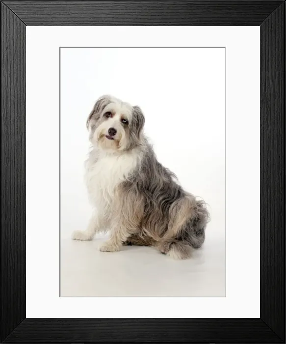 Framed Print : Picture No. 10888897 Framed Print : Picture No. 10888897