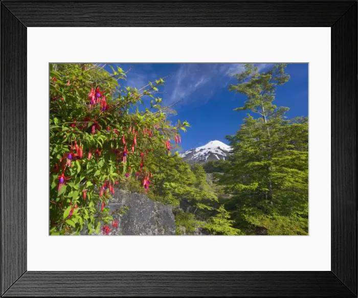 Framed Print : Picture No. 10885090 Framed Print : Picture No. 10885090