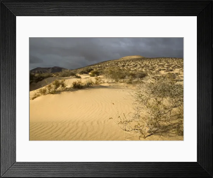 Framed Print : Picture No. 10885119 Framed Print : Picture No. 10885119