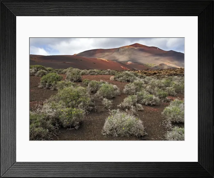 Framed Print : Picture No. 10885123 Framed Print : Picture No. 10885123