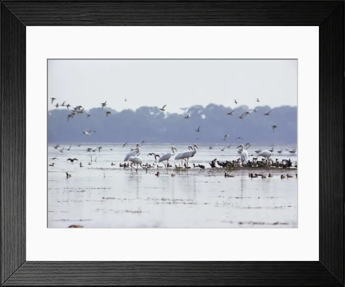 Framed Print : Picture No. 10887362 Framed Print : Picture No. 10887362