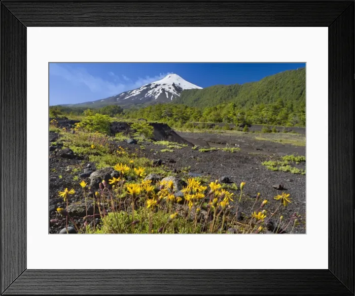 Framed Print : Picture No. 10885089