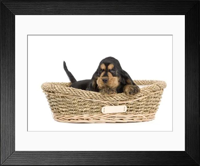 Framed Print : Picture No. 10888011 Framed Print : Picture No. 10888011