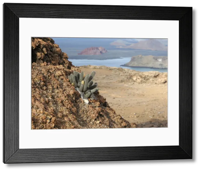 Framed Print : Picture No. 10884867 Framed Print : Picture No. 10884867