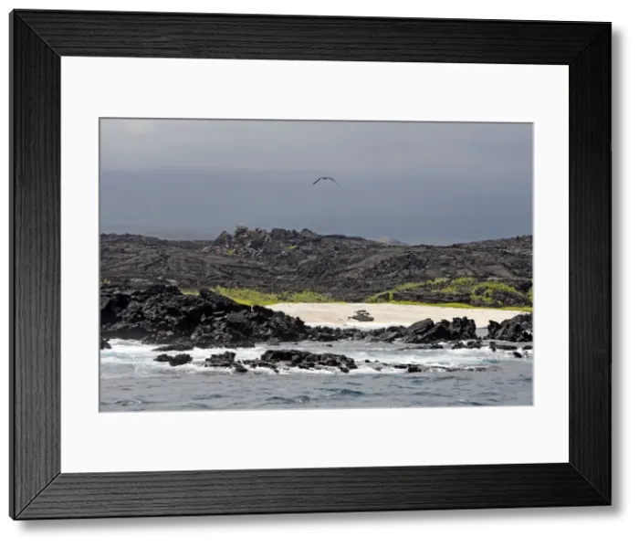 Framed Print : Picture No. 10884856 Framed Print : Picture No. 10884856