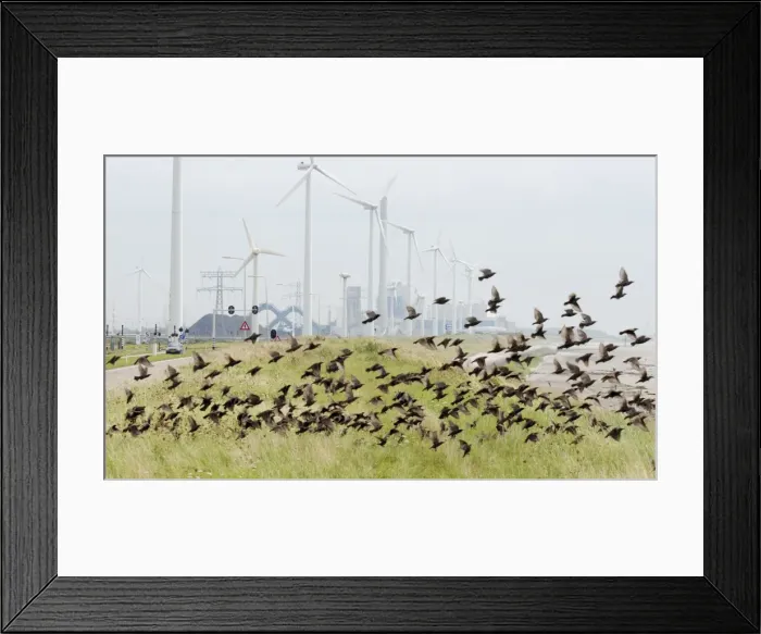 Framed Print : Picture No. 10884136 Framed Print : Picture No. 10884136