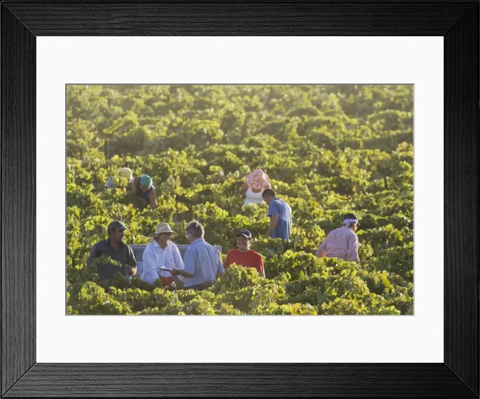 Framed Print : Picture No. 10761675 Framed Print : Picture No. 10761675