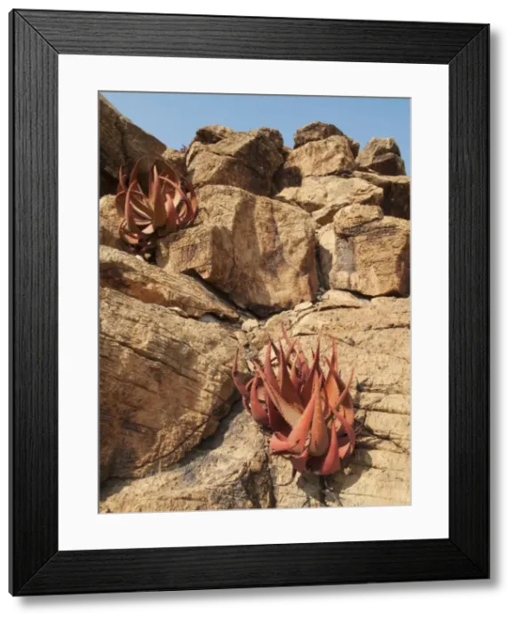 Framed Print : Picture No. 10761335