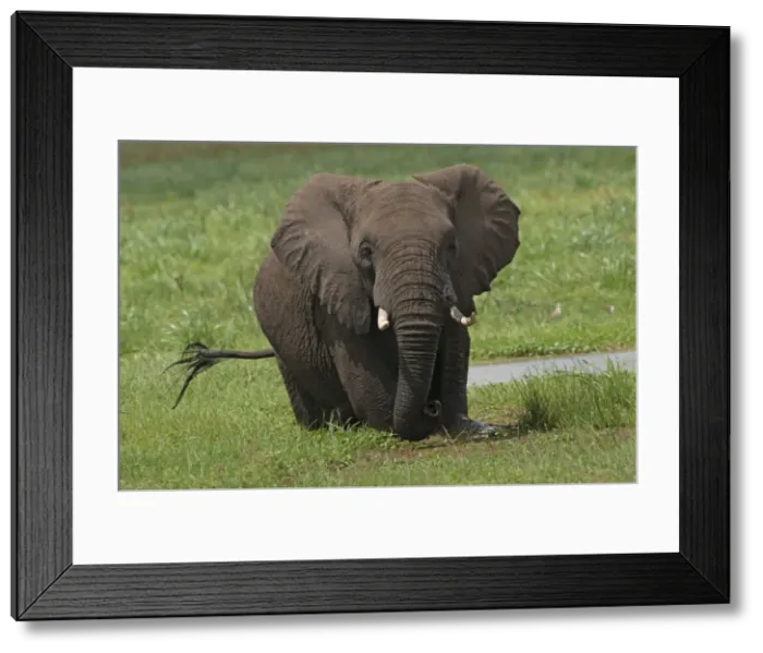 Framed Print : Picture No. 10895684 Framed Print : Picture No. 10895684