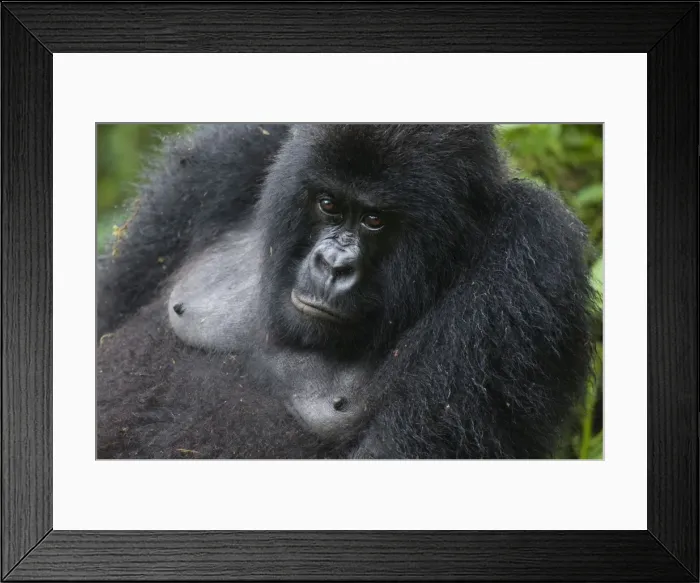 Framed Print : Picture No. 10895880 Framed Print : Picture No. 10895880