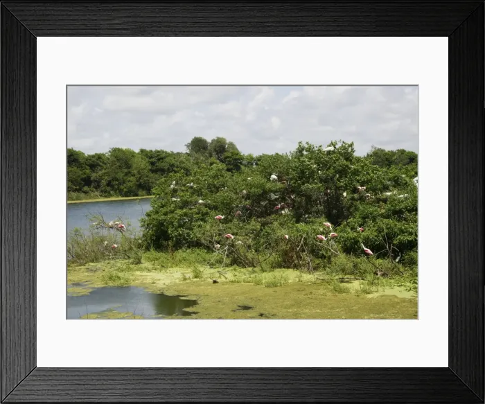 Framed Print : Picture No. 10892464 Framed Print : Picture No. 10892464