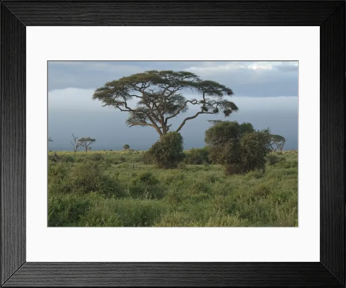 Framed Print : Picture No. 10895673 Framed Print : Picture No. 10895673