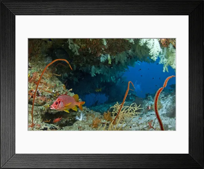 Framed Print : Picture No. 10892904 Framed Print : Picture No. 10892904