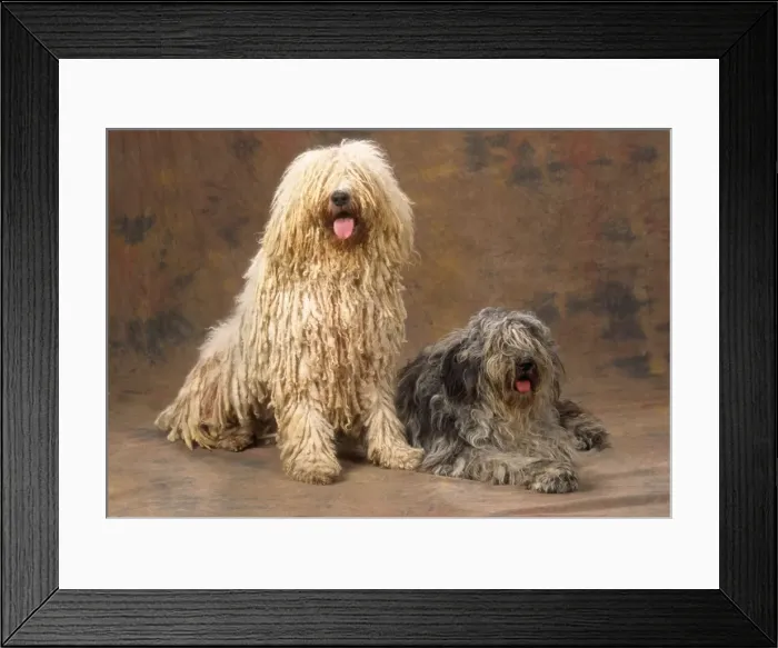 Framed Print : Picture No. 11013640 Framed Print : Picture No. 11013640