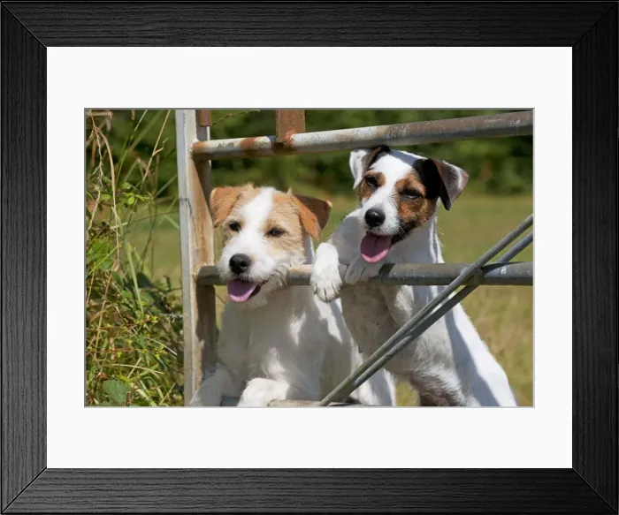 Framed Print : Picture No. 11013754 Framed Print : Picture No. 11013754