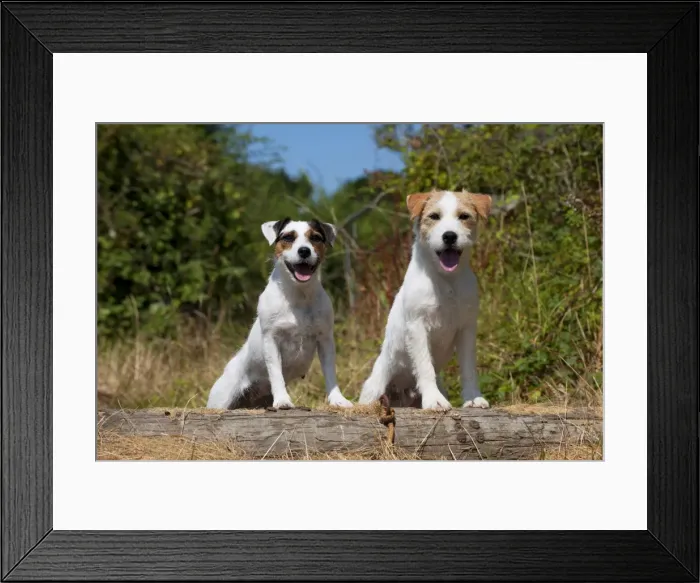 Framed Print : Picture No. 11013755 Framed Print : Picture No. 11013755
