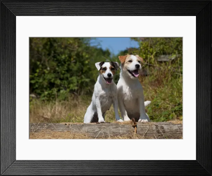 Framed Print : Picture No. 11013756 Framed Print : Picture No. 11013756