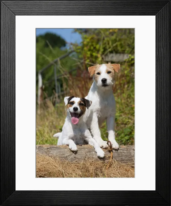 Framed Print : Picture No. 11013757 Framed Print : Picture No. 11013757