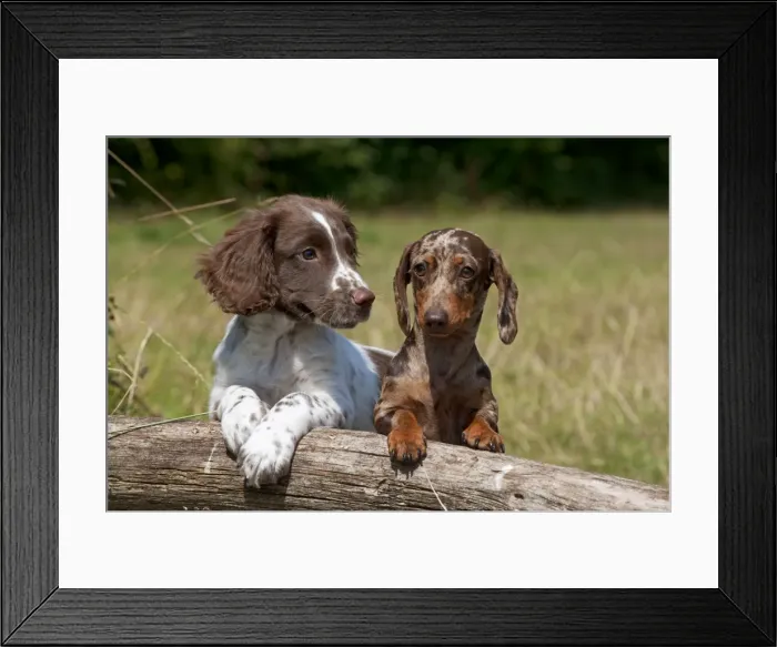 Framed Print : Picture No. 11013763 Framed Print : Picture No. 11013763