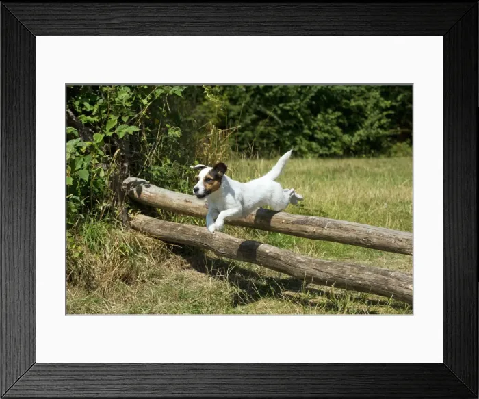 Framed Print : Picture No. 11013772 Framed Print : Picture No. 11013772