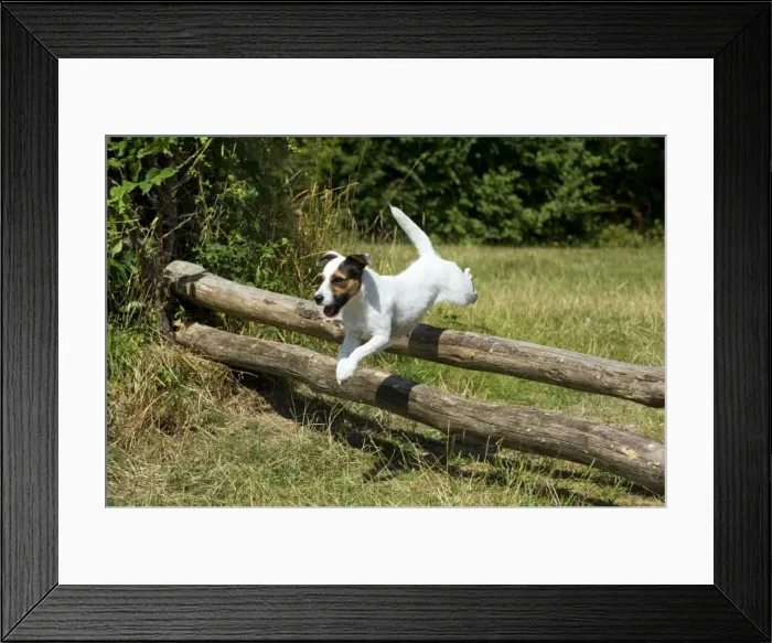 Framed Print : Picture No. 11013773 Framed Print : Picture No. 11013773