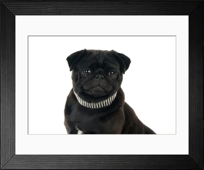 Framed Print : Picture No. 11013790 Framed Print : Picture No. 11013790