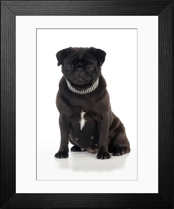 Framed Print : Picture No. 11013791 Framed Print : Picture No. 11013791
