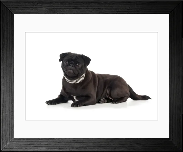 Framed Print : Picture No. 11013793 Framed Print : Picture No. 11013793