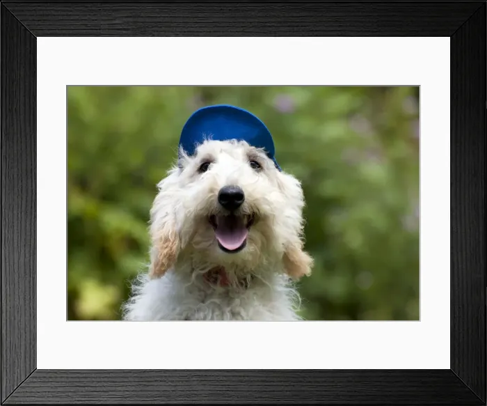 Framed Print : Picture No. 11013794