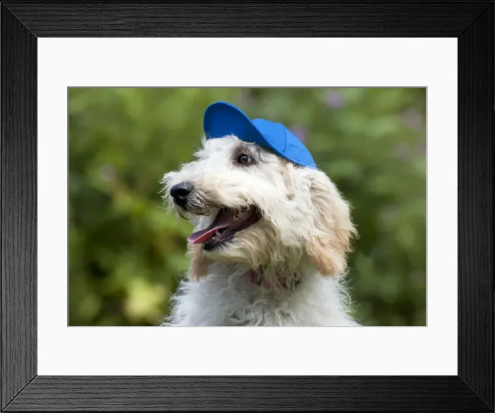 Framed Print : Picture No. 11013795
