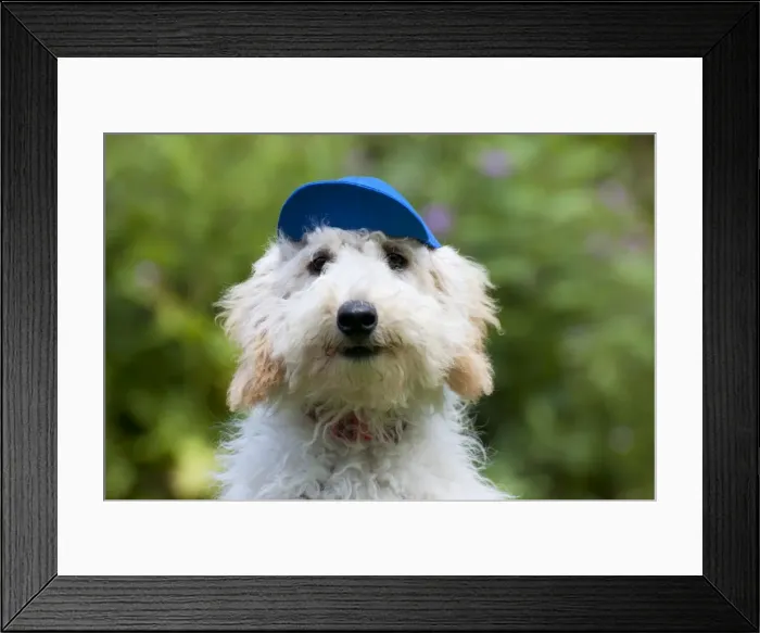 Framed Print : Picture No. 11013796