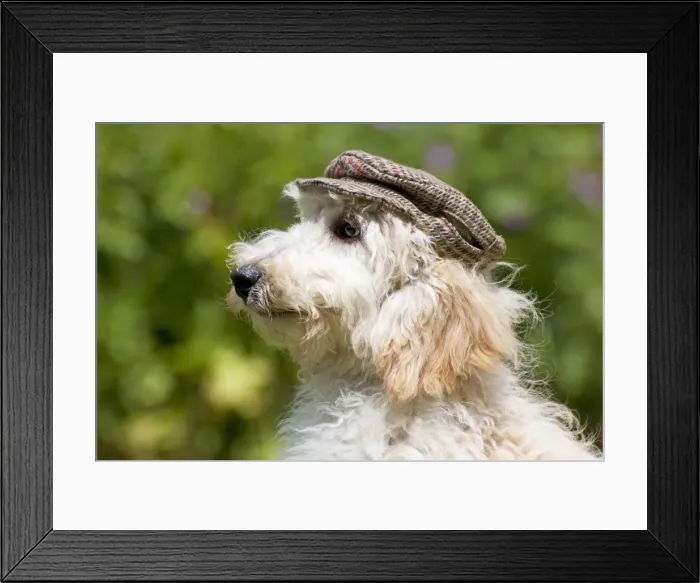 Framed Print : Picture No. 11013798 Framed Print : Picture No. 11013798