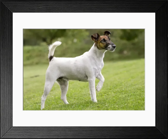 Framed Print : Picture No. 11013860 Framed Print : Picture No. 11013860