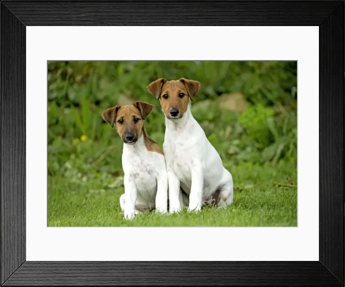 Framed Print : Picture No. 11013862 Framed Print : Picture No. 11013862