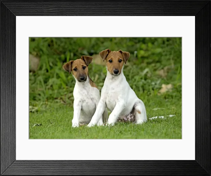 Framed Print : Picture No. 11013863 Framed Print : Picture No. 11013863