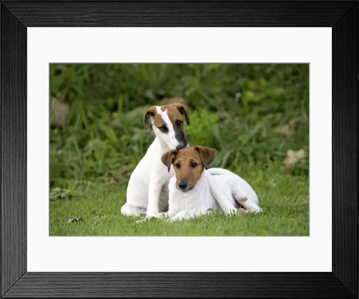 Framed Print : Picture No. 11013865 Framed Print : Picture No. 11013865