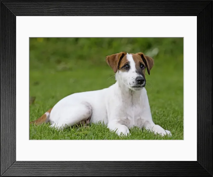 Framed Print : Picture No. 11013867 Framed Print : Picture No. 11013867