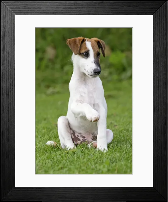 Framed Print : Picture No. 11013868 Framed Print : Picture No. 11013868