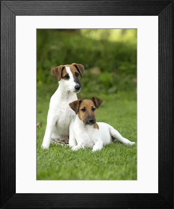 Framed Print : Picture No. 11013869 Framed Print : Picture No. 11013869