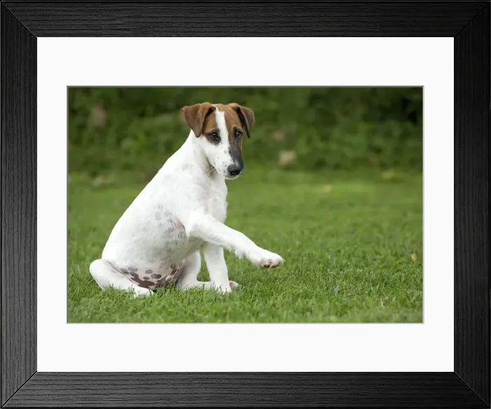 Framed Print : Picture No. 11013871 Framed Print : Picture No. 11013871