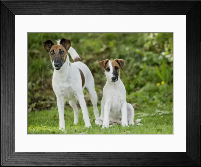 Framed Print : Picture No. 11013873 Framed Print : Picture No. 11013873