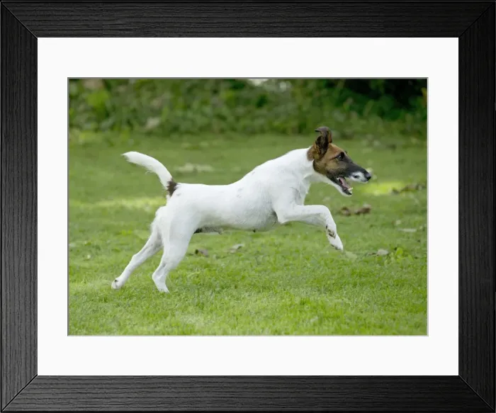 Framed Print : Picture No. 11013878 Framed Print : Picture No. 11013878