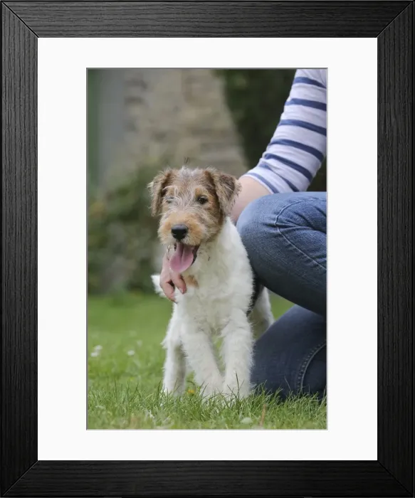 Framed Print : Picture No. 11013892 Framed Print : Picture No. 11013892