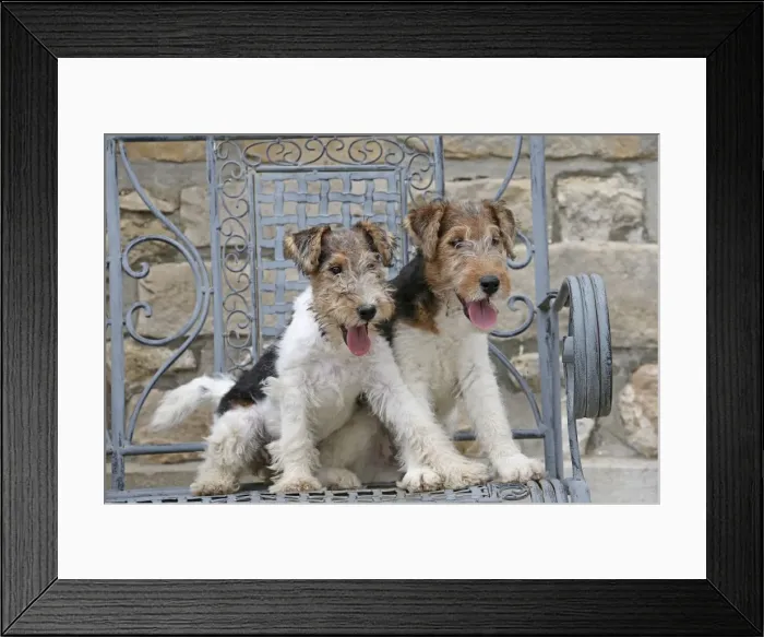Framed Print : Picture No. 11013897 Framed Print : Picture No. 11013897