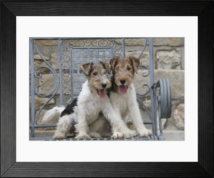 Framed Print : Picture No. 11013898 Framed Print : Picture No. 11013898