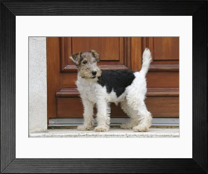 Framed Print : Picture No. 11013899 Framed Print : Picture No. 11013899